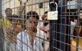 Morocco and Libya Agree to Repatriate 195 Detained Moroccan Migrants