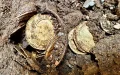 Morocco Nocturnal Excavation Illegal Treasure Hunt Gendarmerie