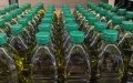 Morocco Olive Oil Imports Collapse 90% in 2026