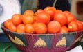 Morocco Overtakes Spain as Top Tomato Exporter to EU, Shifting European Produce Market