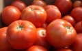 Morocco Overtakes Spain as UK's Second-Largest Tomato Supplier