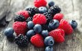 Morocco Overtakes Spain as World's Top Berry Producer
