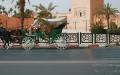 Morocco Permeable Pavements Heat Wave Cities