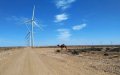 Morocco Plans Africa's First Green Hydrogen Power Plant in Landmark Project