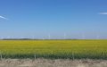 Morocco Plans Green Hydrogen Plant to Boost Renewable Energy Portfolio