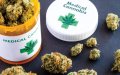 Morocco Poised to Legalize Medical Cannabis, Transforming Its Cannabis Industry