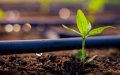 Morocco positions itself as a future hub of clean energy to Europe