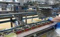 Morocco Prosecutes Factory Owners for Violating COVID-19 Safety Measures