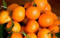 Morocco Ranks 4th Globally in Clementine and Mandarin Production