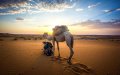 Morocco Ranks Among Top 3 Most Affordable All-Inclusive Vacation Destinations Worldwide