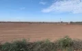 Morocco: A real estate company is taking the Ministry of the Interior to court
