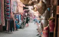 Morocco remains safe: Finland maintains travel advice despite regional tensions