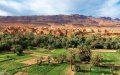 Morocco Reopens Borders: Tourism Officials Meet to Revive Key Economic Sector