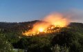 Morocco Reports 60% Drop in Forest Fires, 201 Hectares Affected in 2019