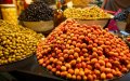 Morocco Restricts Olive Exports to Stabilize Domestic Market Through 2024