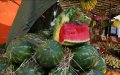 Morocco Restricts Watermelon Farming to Combat Severe Drought