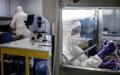 Morocco Revokes COVID-19 Testing Licenses from Five Labs amid Compliance Concerns