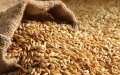 Morocco Secures Wheat Supply Amid Global Price Surge and Ukraine Conflict