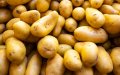 Morocco Sees Surge in Egyptian Potato Imports Amid Trade Tensions