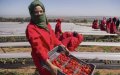 Morocco Sees Surge in Overseas Employment: 22,000 Workers Placed Abroad in 2019