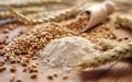 Morocco Set to Import 5 Million Tons of Cereals Amid Drought Concerns