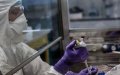 Morocco Sets Coronavirus Test Price at 500 Dirhams, Health Ministry Announces
