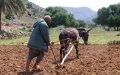Morocco Shifts Agricultural Strategy Amid Severe Drought and Water Scarcity
