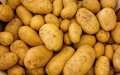Morocco Shifts from Potato Exporter to Importer, Signaling Agricultural Trade Reversal
