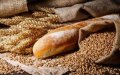 Morocco Spends Over 3 Billion Dirhams on Wheat Subsidies Amid Rising Costs