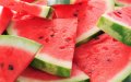 Morocco Surges Past Spain in EU Watermelon Market, Exports Soar 53%