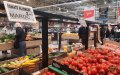 Morocco Surpasses European Rivals in Tomato Exports to EU