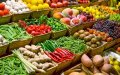 Morocco Surpasses Rivals as Spain's Leading Fruit and Vegetable Importer