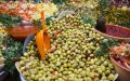 Morocco Suspends Olive Oil Import Duties Amid Production Shortfall