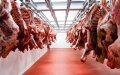 Morocco Suspends Veterinary Inspections in Slaughterhouses, Raising Food Safety Concerns