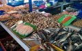 Morocco Tightens Market Controls to Combat Ramadan Price Gouging