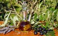 Morocco Tightens Olive Oil Quality Controls to Combat Fraud