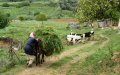 Morocco Tightens Rules on Foreign Land Purchases to Protect Agricultural Areas