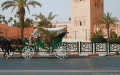 Morocco Tourism Boom: Foreign Visitors Surpass MRE in 2024