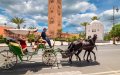 Morocco Unrest Sparks Travel Warning as GenZ Movement Shakes Nation