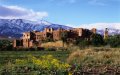 Morocco Unveils $170 Million Ecotourism Plan for Drâa Tafilalet Oasis Region