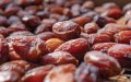 Morocco Unveils $750 Million Plan to Boost Date Palm Production by 2030