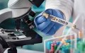 Morocco Urges Leaders to Set Example as COVID-19 Vaccination Campaign Nears