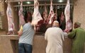 Morocco Vaccinates Over 1 Million Cattle Against Foot-and-Mouth Disease in National Campaign