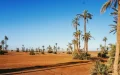 Morocco Water Crisis: Breaking Free from Rain Dependency