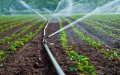 Morocco: "water thieves" arrested