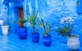 Morocco's Blue City, Chefchaouen, Named Among World's Most Beautiful Destinations