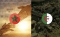 Morocco's Earthquake Response Outpaces Regional Neighbors, Study Finds