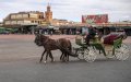 Morocco's Economic Council Unveils Post-COVID Recovery Plan
