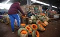 Morocco's Economy Faces Potential Recession Amid Pandemic and Economic Challenges
