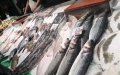 Morocco's Fish Export Ban Sparks Shortage Crisis in Spanish Enclave Ceuta